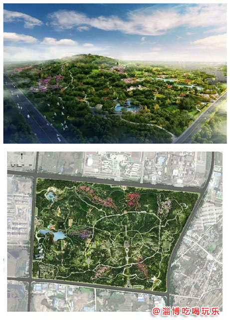 淄博将建两座主题公园，快看看建在哪儿！