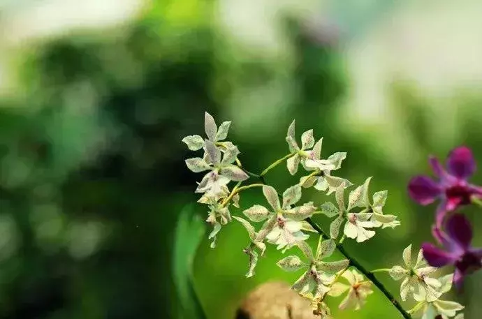 励志诗-第5张图片-非凡网 励志诗-第5张图片-非凡网