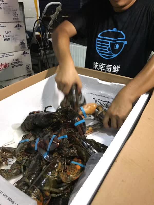 传统海鲜市场水太深，送上门的活海鲜电商是什么体验？