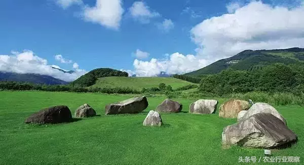 案例｜揭秘90后農場主做農業失敗的5大啟示！
