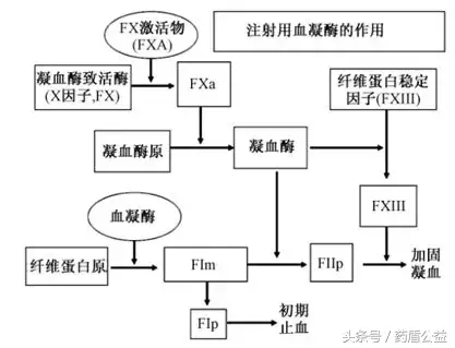警惕:注射用蛇毒类血凝酶的不良反应!