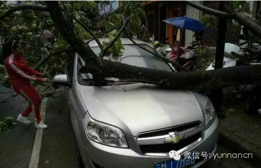 19点新闻｜云南遭受风雹灾害致10州市12.36万人受灾