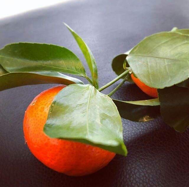 Wang Yuan Ins is newer: Orange? In a steady stream your what meaning? 