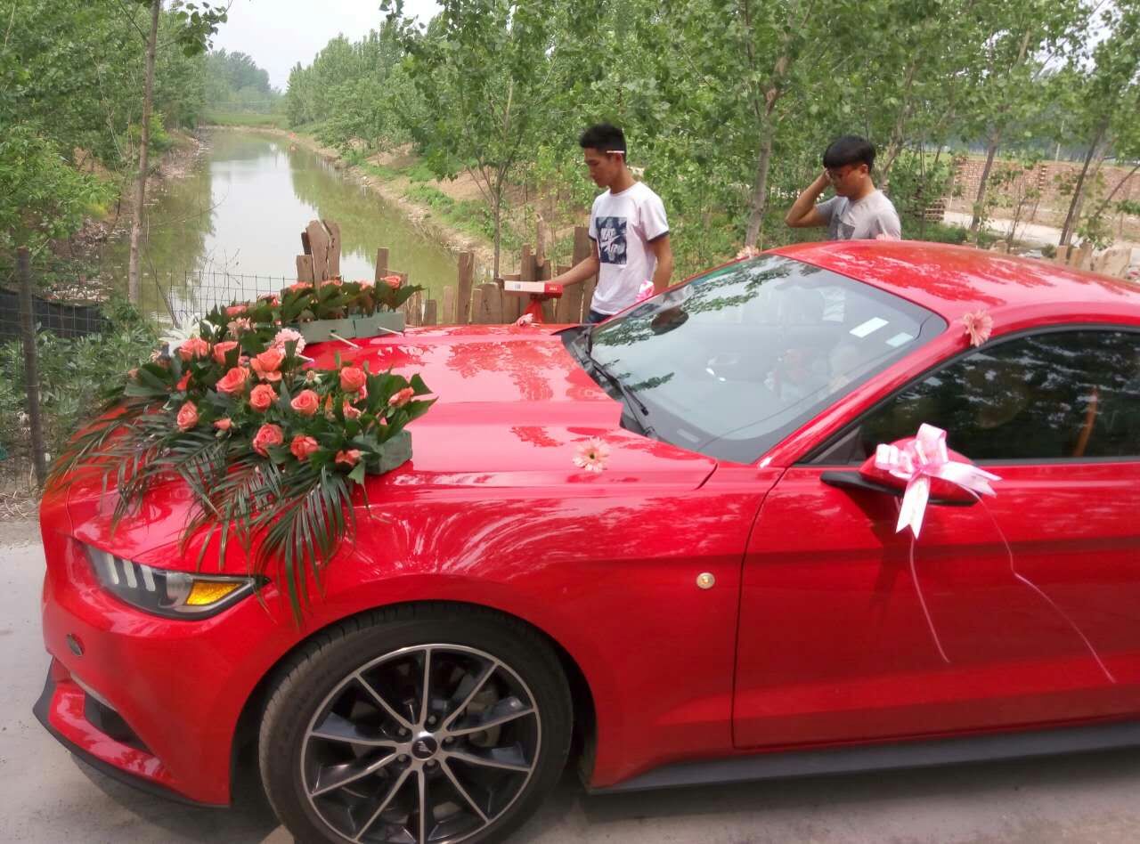 安徽农村大学生驾跑车迎娶心中的白富美，婚姻如野马一样激情浪漫