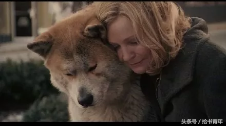 6个催人泪下的感人故事，你能忍到第几个不哭？