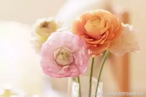 人要懂得感恩,要有宽容善良之心-第2张图片-非凡网 人要懂得感恩,要有宽容善良之心-第2张图片-非凡网