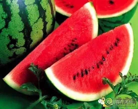 河南礼物：除了列出来的，郑州特产请你补充