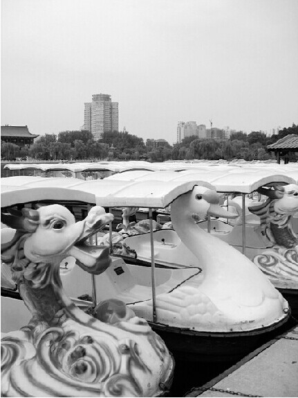泾河新城88°温泉乐园将开 无浪不欢的人总算有归属了