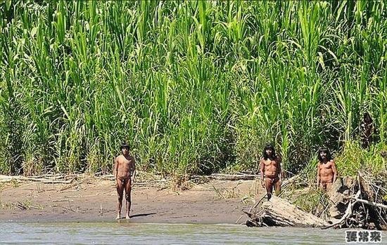 实拍亚马逊原始部落居民，与世隔绝600年