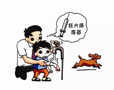 大伤小伤，恢复饮食大有不同，别等伤口加重留了疤才来看