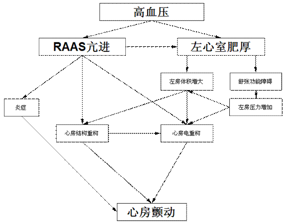 高血压病人，为什么血压高了早搏多、发“房颤”？