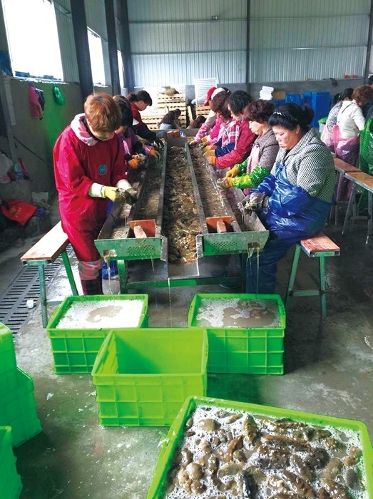 图看水产 | 霞浦渔排人家的傍海生活