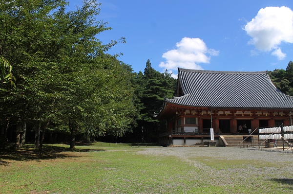 京都醍醐寺：密教文化的宝库如何诞生