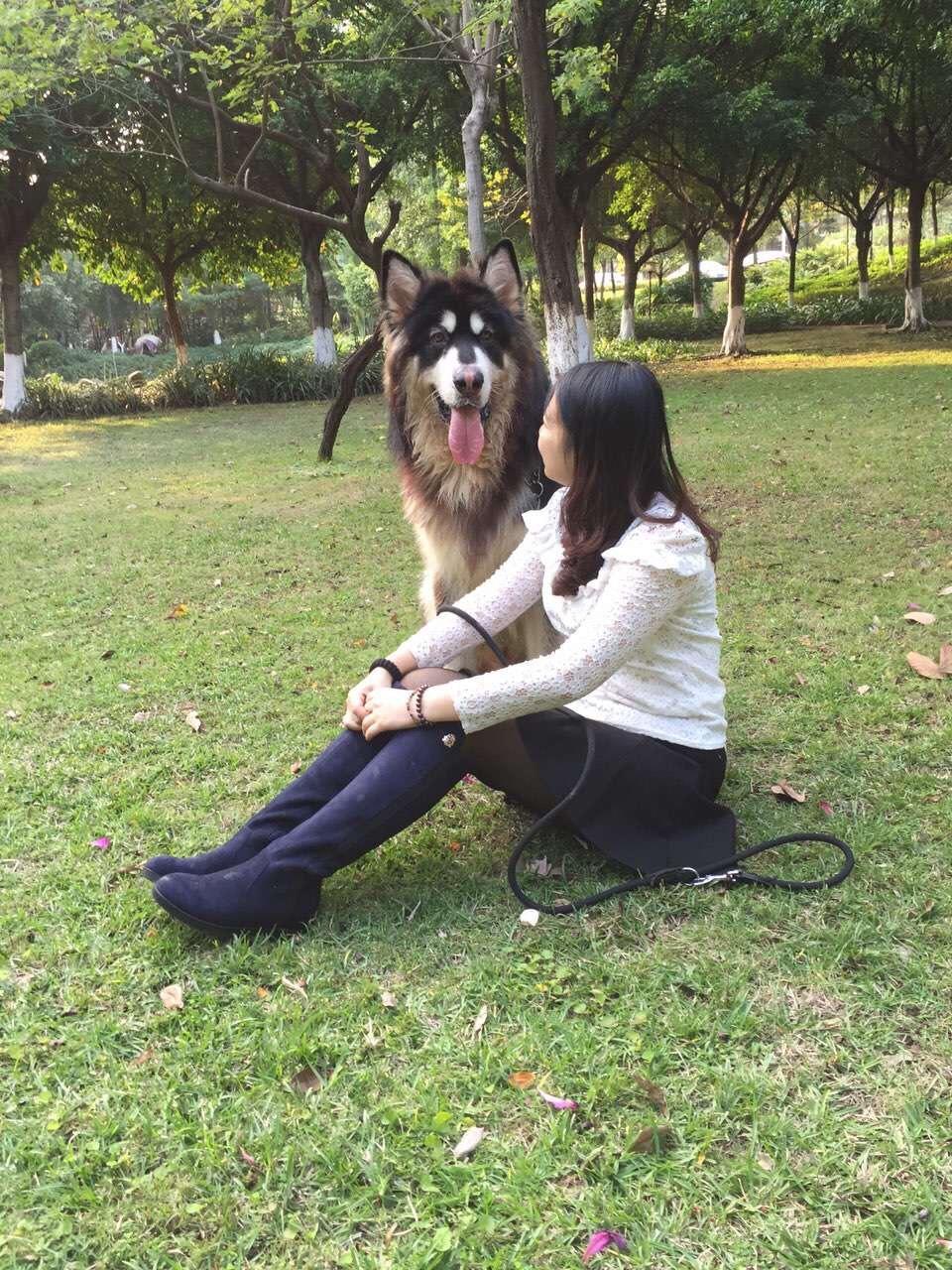 这么大的狗狗，妹子还很喜欢，不是说都怕大狗吗？
