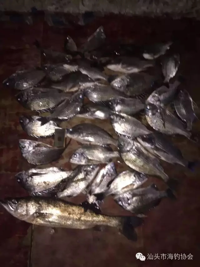 游钓福建福清，完美收杆（内附攻略）