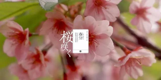 2016日本赏樱指南 现在就要计划起来