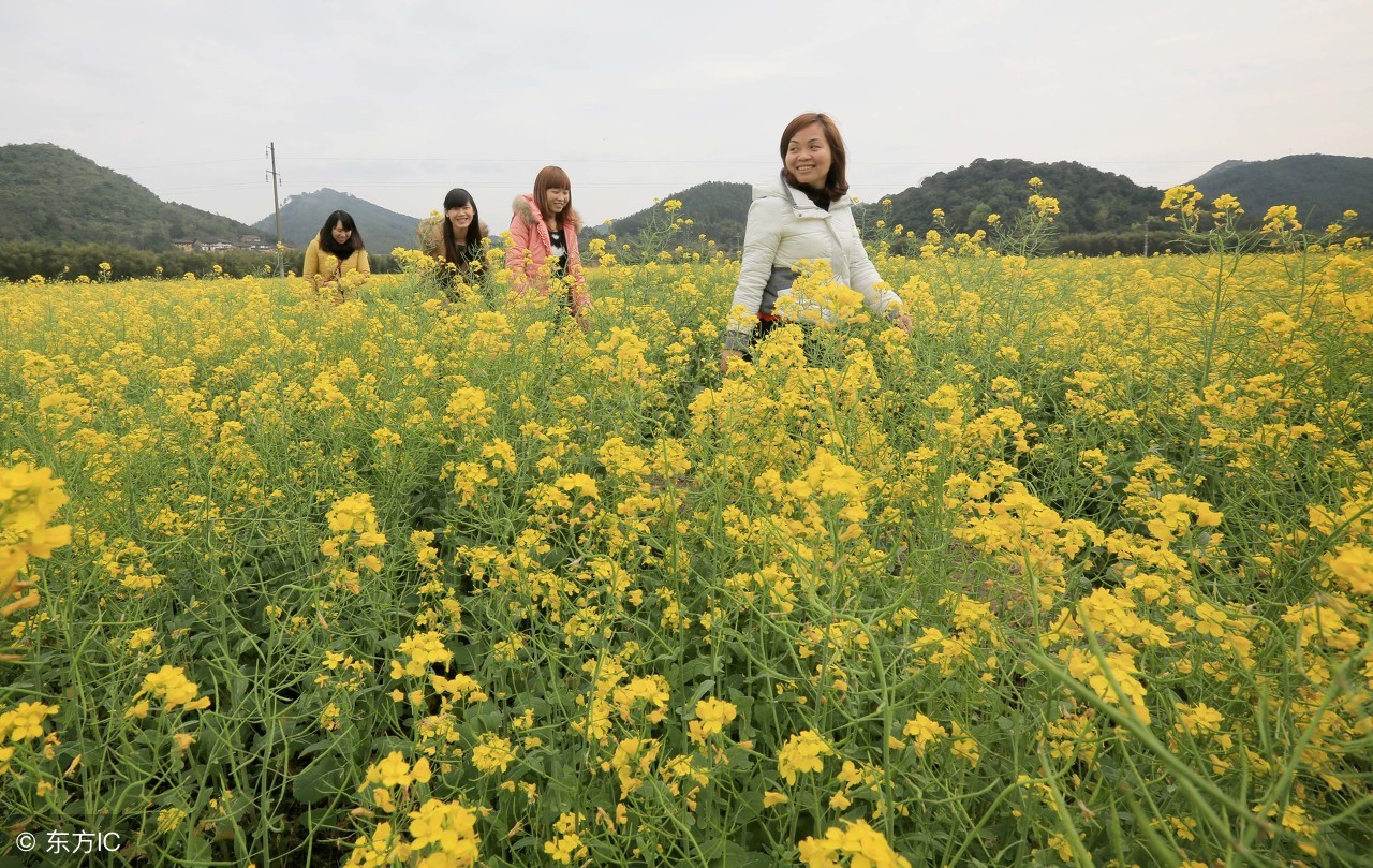 New Year big auspicious, the 10 or 20 days following Lunar New Year's Day aids carry guideline