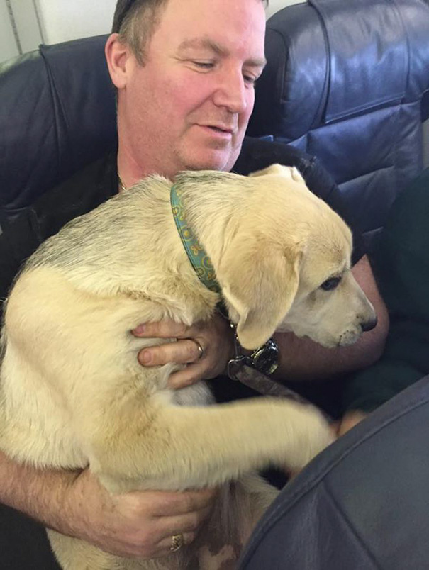 宠物本来不允许被带上飞机，但这架飞机上却装满了宠物