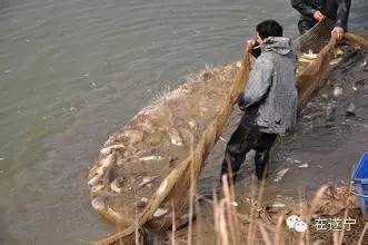 吓人！遂宁市民鱼塘捕鱼发现骷髅头骨？