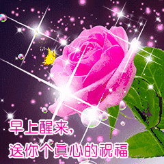 上好|正月十三早上好 最漂亮的早安图片带着满满的祝福送给你！