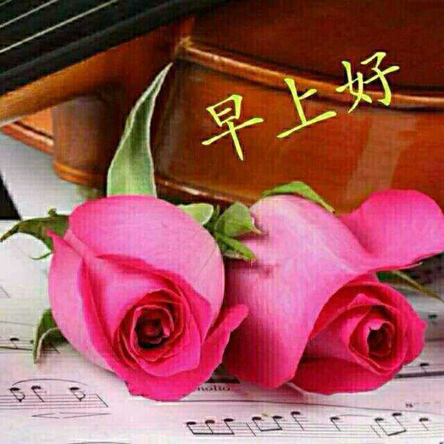 上好|正月十三早上好 最漂亮的早安图片带着满满的祝福送给你！