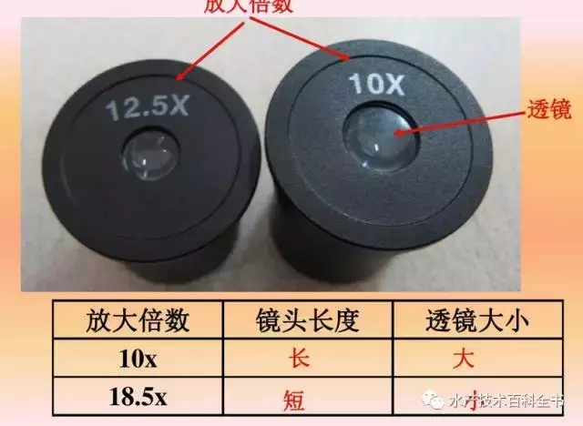 普通光學(xué)顯微鏡的使用技術(shù)