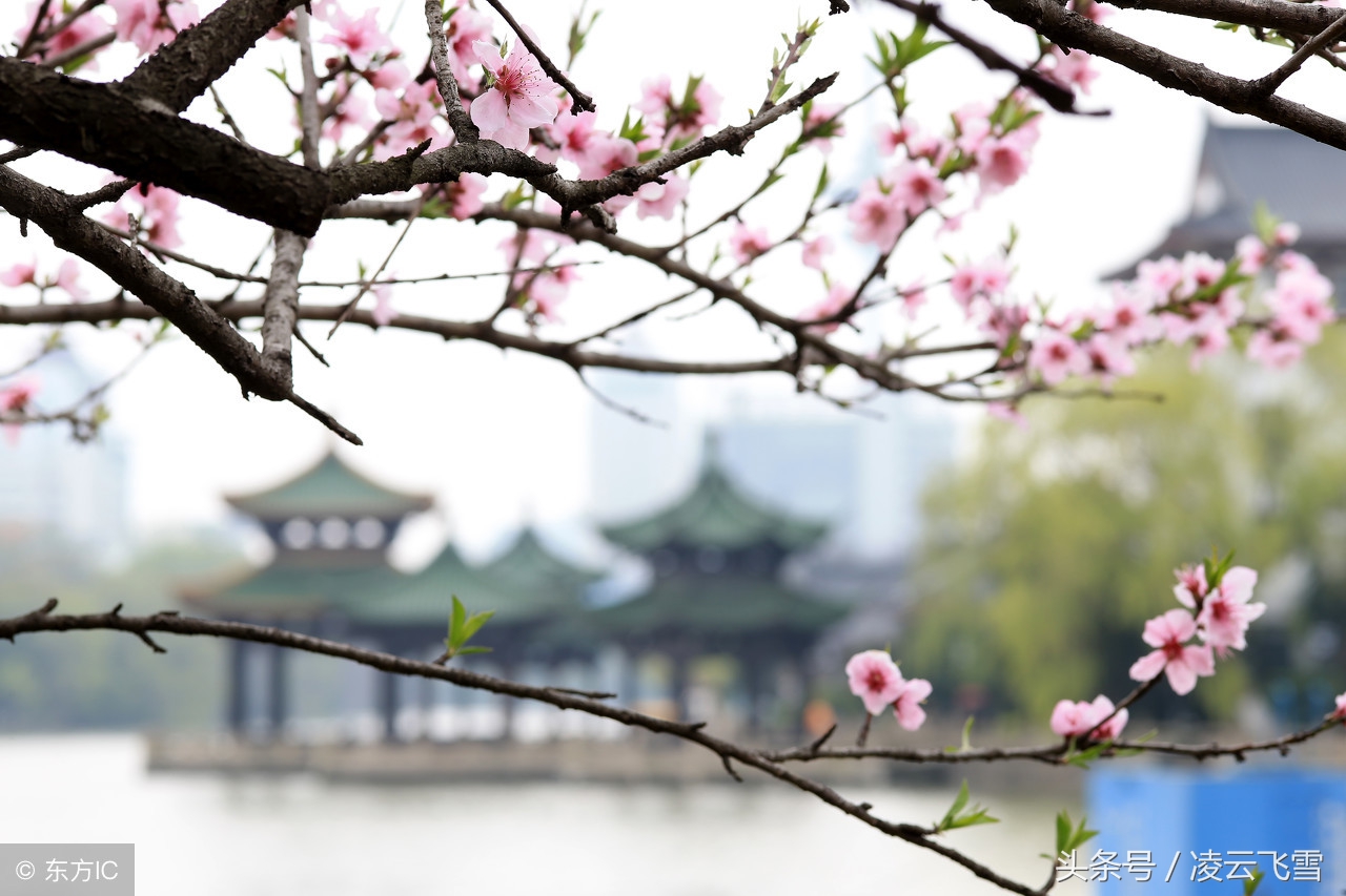 春夏秋冬各不同，带你领略诗词中四季的美好，值得收藏-第4张图片-非凡网