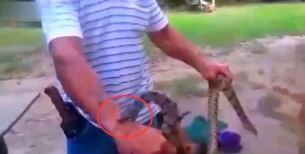 男子让蟒蛇狠咬手臂，鲜血直流，最终蟒蛇却被狗吃掉，太意外了！