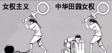 “中华田园女权”有多可怕？