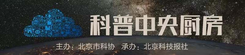 国博展出的除了月壤，还有这些探月“好搭档”