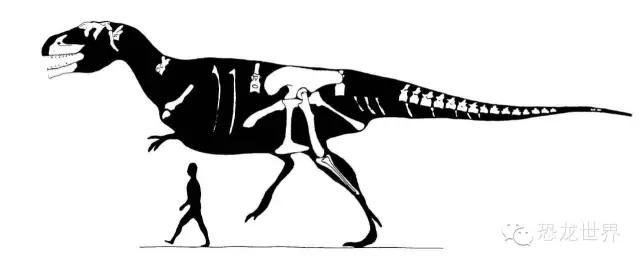 南方巨兽龙：南美洲巨型食肉恐龙