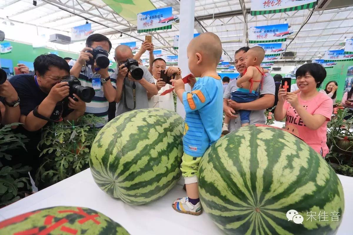 一群西瓜精在北京打架，这个160斤的胖子赢了