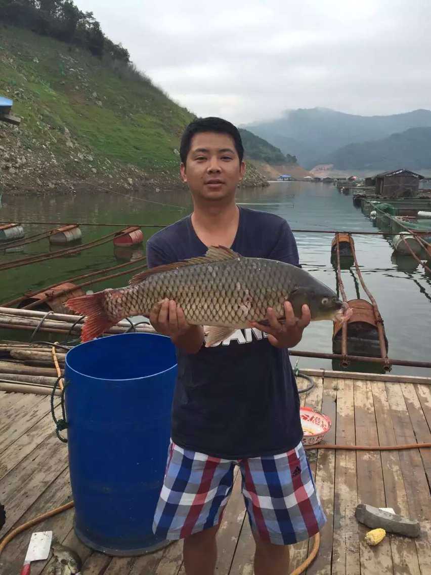 贵州万峰湖游钓，收获巨型罗非鱼