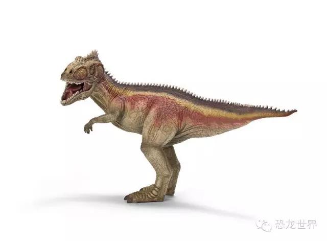 南方巨兽龙：南美洲巨型食肉恐龙