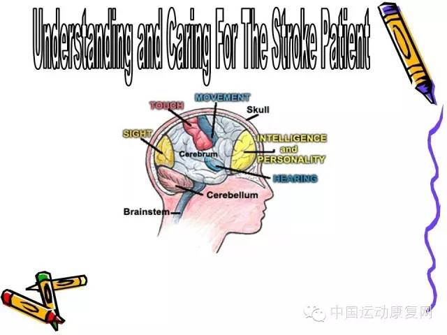 朱毅：脑卒中手功能控制与康复新策略