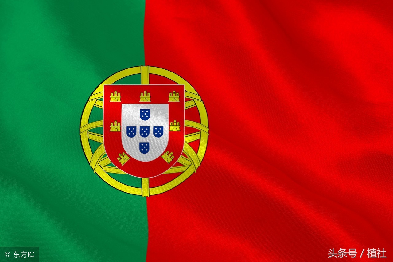 葡萄牙国花是什么（葡萄牙国花介绍）