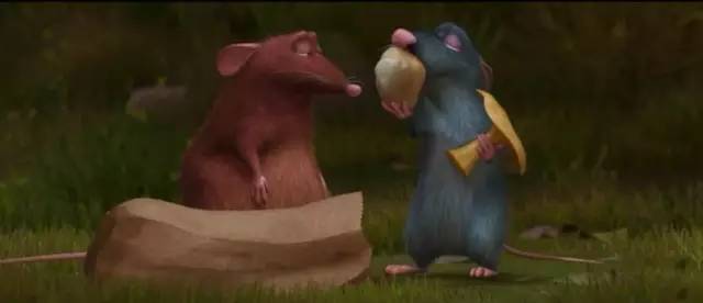 料理鼠王丨一只会做料理的老鼠，想不想养一只呢！