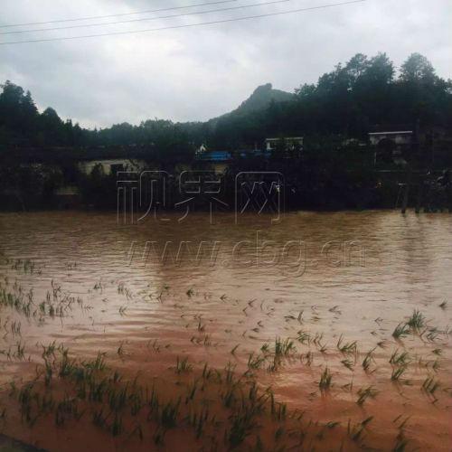 南川：暴雨侵袭致多个乡镇受灾 灾后自救正有序进行