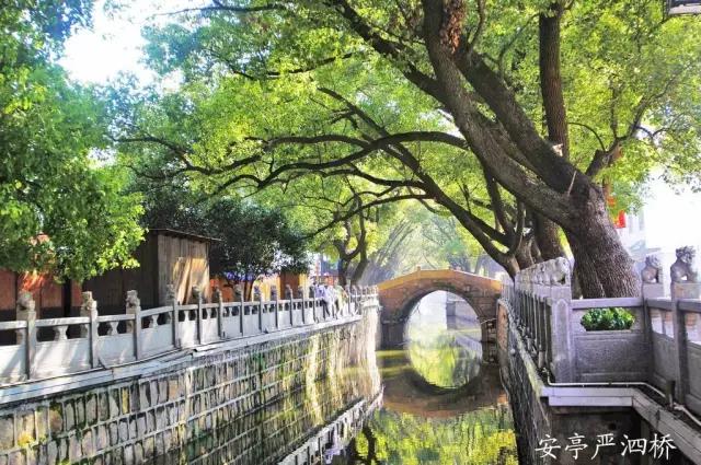 上海四大土豪镇曝光，最有钱你知道是那个吗？