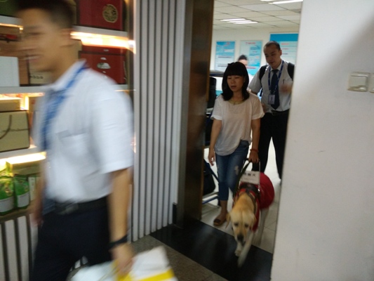 青岛机场迎来第一只出港导盲犬