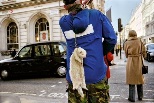 他是英国最有名的街头摄影师之一 20年游走街头