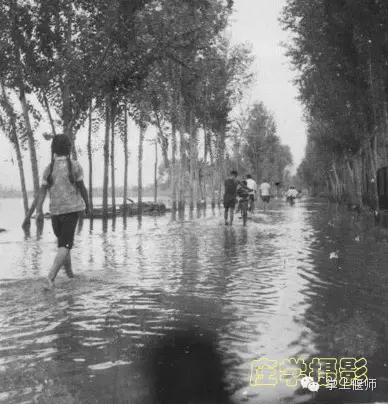 历史影像：回忆偃师1982年的水灾！