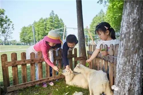 暑假“带娃去旅行”最佳目的地就在苏州！毛里求斯，马尔代夫...统统甩一边！