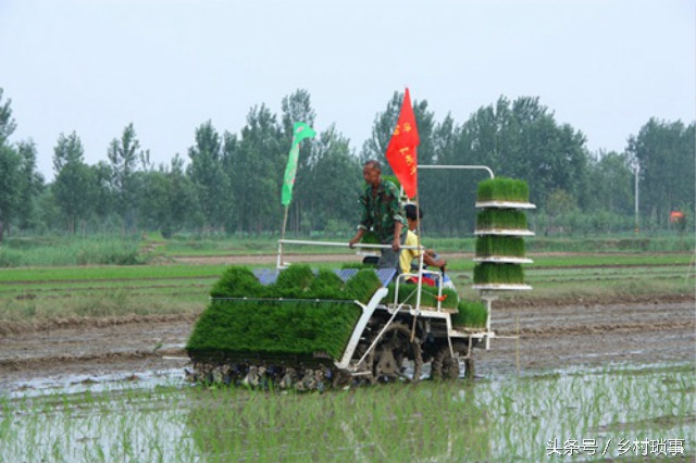 看农村水稻种植方式的演变，你就知道农民生活为什么越来越好了