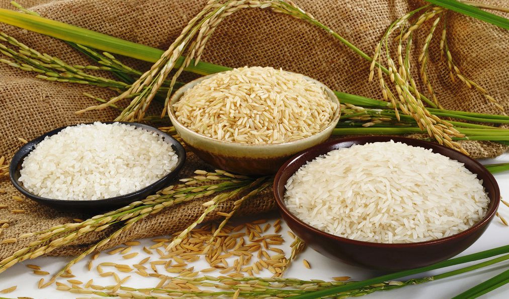 农业部：新季稻上市前 国内米价将稳中趋弱