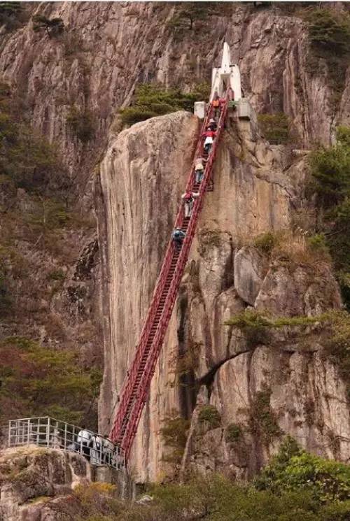 世界上最恐怖的十九座桥，刚看第一眼腿就软了！
