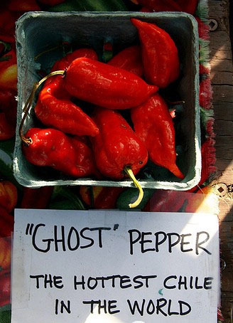 世界最辣辣椒：印度”魔鬼椒”，到底有多辣？