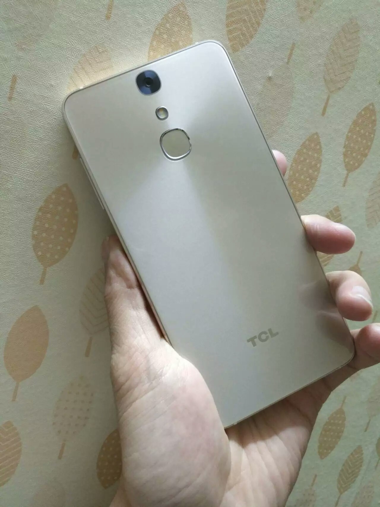犹如日常生活,美若初显----TCL 750入门感受