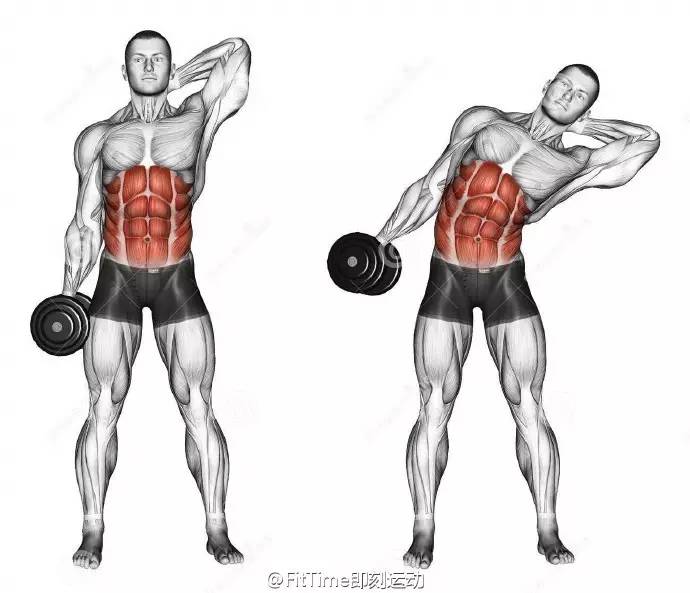 《健体》9个腹部健身动作训练肌肉示意图，每个动作锻炼的部位已经标出！拿走不谢