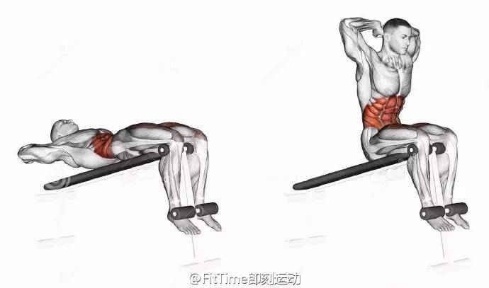 《健体》9个腹部健身动作训练肌肉示意图，每个动作锻炼的部位已经标出！拿走不谢